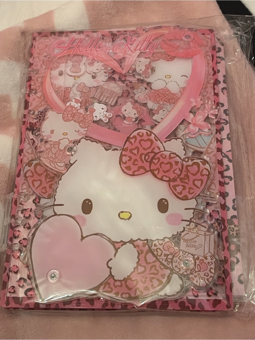 Hello Kitty Acrylic Shaker Notebook